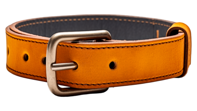 Pet Collar isolated on transparent png background. Generative ai - Powered by Adobe