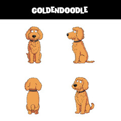 Goldendoodle dog Cartoon Character Sheet