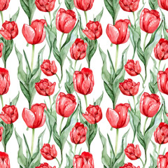 Obraz premium watercolor illustrations of red tulips against a white background, seamless watercolor art pattern
