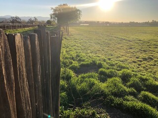 fence grass
