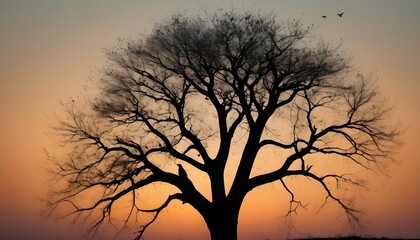 A tree silhouette with a family of birds nesting I upscaled 3