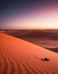 sunset in the desert