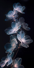 A series of transparent neon flowers are shown in a black background