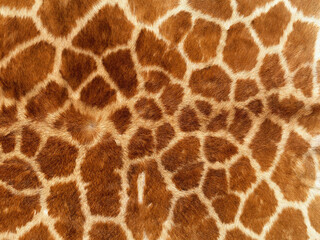 close up of a leopard fur