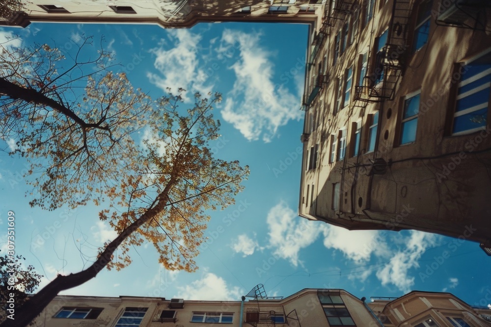 Poster urban landscape with a tall building and tree in foreground. suitable for architectural and cityscap