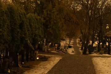 The shade of trees