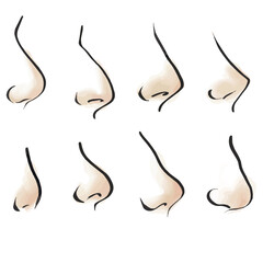 Human nose of different shapes