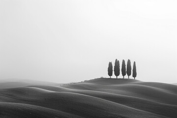 minimalist panorama of the Crete Senesi with some cypresses on the hills, solitude, minimal image