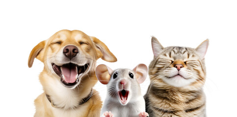 Close-up Funny Happy Smiling Cat, Dog and Mouse Portrait. Isolated on White and PNG Transparent Background.