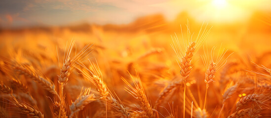 Farmers standing in a bountiful wheat field, bathed in vibrant sunbeams as they harvest, depicting hard work, joy, and abundance. Suitable for agriculture or rural lifestyle themes.