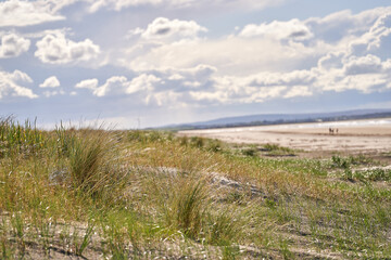 Atlantic ocean beach dunes sand