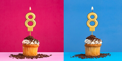 Two birthday cupcakes with the number 8 - Blue and pink background