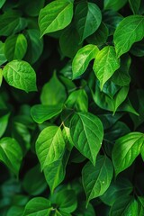 Close up of vibrant green leaves on a tree, ideal for nature backgrounds