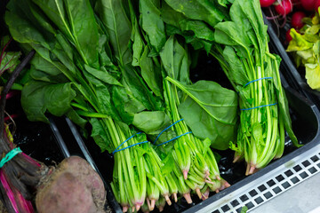 Bunches of fresh green spinach lie on counter in vegetable shop