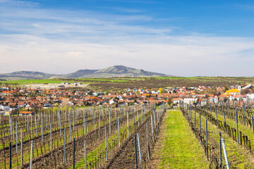 View of the picturesque wine region near Velke Pavlovice with mountains of The Palava landscape...