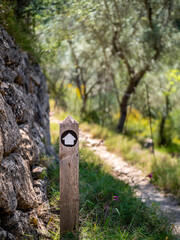 Amidst the lush greenery of Mallorca Sóller, a wooden peg signpost marks the Camí de Can Carrió trail, offering guidance with its arrow along a stone wall, inviting to explore the rural landscape.