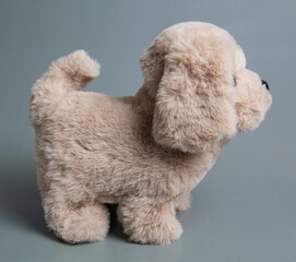 A stuffed dog toy. Cute toy puppy shot on a gray background
