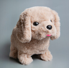 A stuffed dog toy. Cute toy puppy shot on a gray background