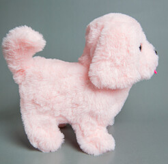 A stuffed dog toy. Cute toy puppy shot on a gray background