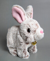 Soft fluffy rabbit toy with long ears, isolated on a white background