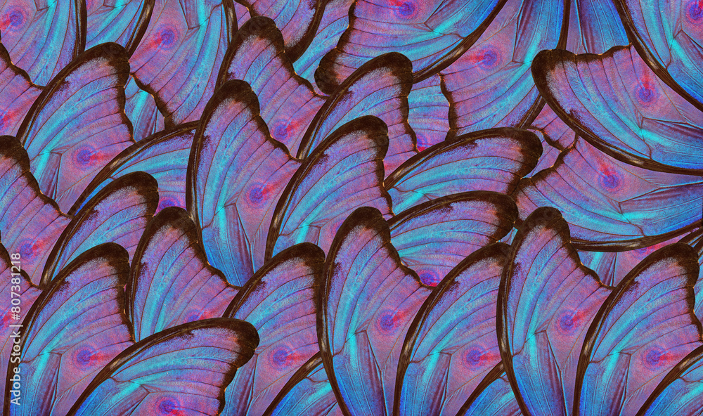 Poster abstract pattern of bright colorful wings of a tropical morpho butterfly. ornament of butterfly wing