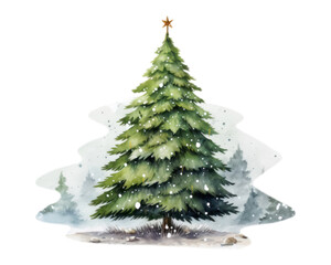 PNG Christmas plant tree pine.