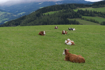 Alps landscape