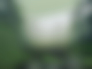 Obraz premium Abstract gradient Misty Forest: Forest Shroud: Abstract Hues Whisper Tales of a Misty Woodland. Abstract Gradient Captures the Tranquility of a Misty Forest