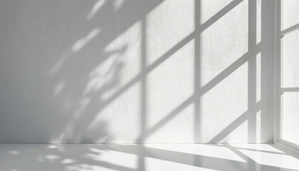 Minimalist white room interior with shadows