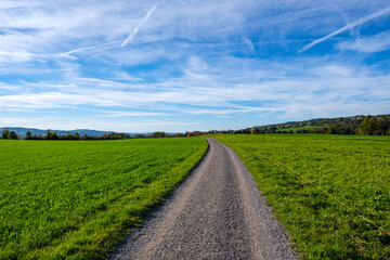 Meadow landscape with gravel road - Sempach, Switzerland