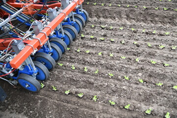 Pflanzmaschine Bänderpflanzmaschine Pflanze Pflanzen Jungpflanzen Aussaat Saat Maschine Acker Ackeranbau Bio Biobauer Salat Zyer Pflanzabstand. Es können 3000 Pflanzen pro Stunde gepflanzt werden
