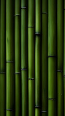 Obraz premium Green bamboo wall background