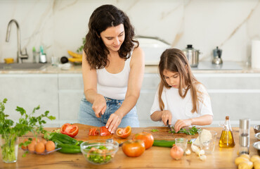 Mom teaches her daughter how to cook and handle kitchen tools. Woman and girl are cutting raw vegetables for salad, preparing food for family dinner. Homemade food and little helper.