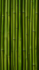 Fototapeta premium Green bamboo wall background