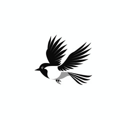 Fototapeta premium Black and white bird illustration in mid-flight on a clean white background.