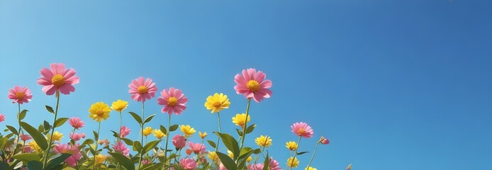Pink and yellow flowers against a blue sky background
