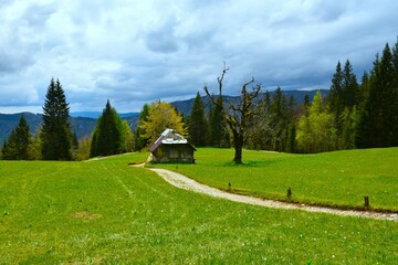 Meadow with a crumbling building in Karavanke mountains in Gorenjska, Slovenia