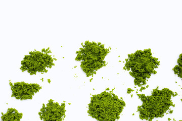 Fototapeta premium Wolffia globosa or swamp algae, water meal