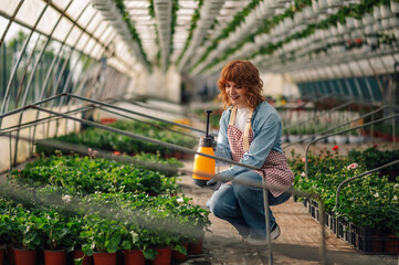 Happy ginger florist with garden sprayer cultivating flowers at hothouse