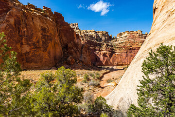 Fototapeta premium Beautiful landscape view of Capitol Reef National Park.