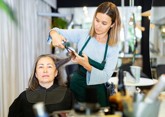 Portrait of focused woman professional hair stylist working with elderly female client, making...