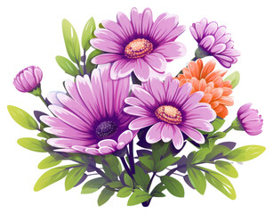 PNG Flower plant aster daisy.
