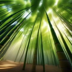 A tranquil bamboo forest with sunlight filtering through the canopy Serene and peaceful natural environment4