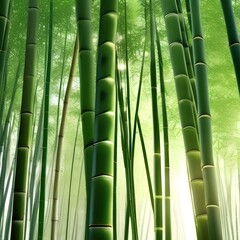 A tranquil bamboo forest with sunlight filtering through the canopy Serene and peaceful natural environment3