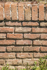 Terracotta brick wall, vector texture background