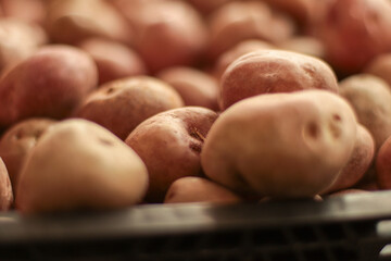 Patatas fresca apiladas para venta 