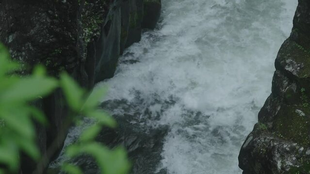 240422_miyazaki_3202