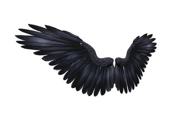 3d render fantasy black crow wings isolated