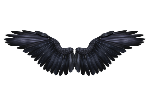 3d render fantasy black crow wings isolated