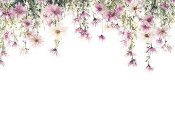 PNG  Daisy flowers nature blossom purple.